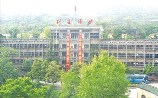 五矿集团锡矿山闪星锑业